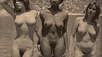 My Secret Life  Top Twenty Vintage Interracial