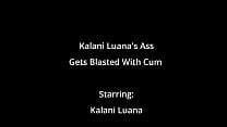 Kalani Luana 039 s Ass Gets Blasted With Cum By Doctor Tampa On BlastABitch Reup
