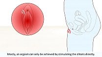 The female orgasm explained