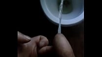 An ode to   039 a long desperate piss in the toilet  039 
