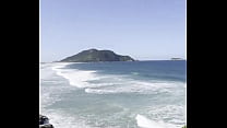 O que voc ecirc s acham do meu quintal O que voc ecirc s acham do meu quintal