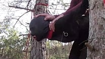 Tied up to a tree outdoor on sexy clothes wearing pantyhose and high ankle boots heels rough fuck Tied up to a tree outdoor on sexy clothes wearing pantyhose and high ankle boots heels rough fuck