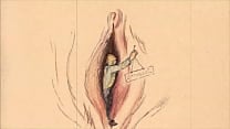 vintage erotic illustration