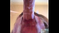 I want your dick in my mouth I want your dick in my mouth
