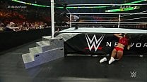 Nikki Bella vs Paige Money in the Bank 2015