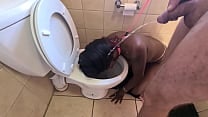 Desi whore gets walked like a to the toilet to get her face pissed on and sucks cock Desi whore gets walked like a to the toilet to get her face pissed on and sucks cock