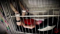 Slut captured for mating session at breeding farm Strangers inseminate her once a year breeding next gen species 60 FPS Slut captured for mating session at breeding farm Strangers inseminate her once a year breeding next gen species 60 FPS