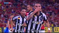 Botafogo fodendo a mulambada 