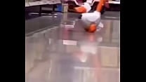 A big white duck chasing at you