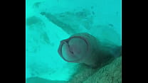 Je jouis dans la piscine sans les mains