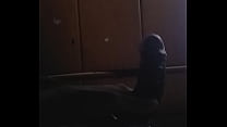 Carinho na Pica Carinho na Pica