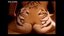 Tiger Eating   XVIDEOS COM