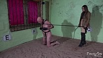 Training For A Perfect Pony   British Discipline with Mistress Athena Training For A Perfect Pony   British Discipline with Mistress Athena
