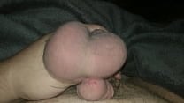 Hairy Balls and Pets Hairy Balls and Pets