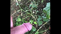 Getting hard whilst pissing in the woods
