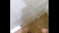 Santos br Santos br