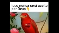 Flamengo nunca ser aacute aceito por Deus