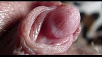 Big clit orgasm closeup