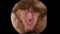 Female textures Sweet nest HD 1080p Vagina close up hairy sex pussy by rumesco