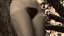 My Secret Life Vintage Nudes In Nature