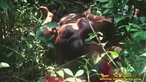 AFRICAN LECTURER FUCK SEXY COROLINA AN AMATEUR GIRL IN THE BUSH VIDEO LEAKED ON INTERNET PORN SITE AFRICAN LECTURER FUCK SEXY COROLINA AN AMATEUR GIRL IN THE BUSH VIDEO LEAKED ON INTERNET PORN SITE