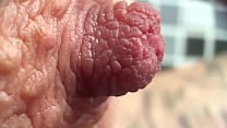 Extreme Close Up on My Nipples Play     I think you never see it