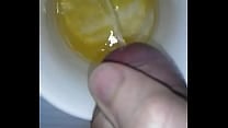 pee 2 pee 2