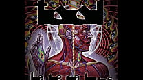 Tool Lateralus Full Album