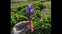 I got a super amazing flower from Lily lu filmz What rsquo s the most thoughtful gift you rsquo ve ever received Flower I got a super amazing flower from Lily lu filmz What rsquo s the most thoughtful gift you rsquo ve ever received Flower