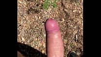 Cum Forest Cum Forest