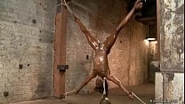 Ebony toyed in upside down position Ebony toyed in upside down position