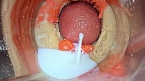 Cumming on Your Cock with Camera Inside Pussy   ASMR 4k Cumming on Your Cock with Camera Inside Pussy   ASMR 4k