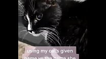 using my cats given name vs the name she chose for herself using my cats given name vs the name she chose for herself