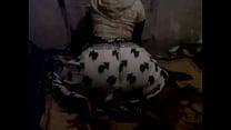 BIG AFRICAN BOOTY WHINING BIG AFRICAN BOOTY WHINING