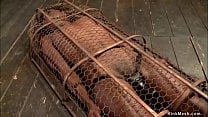 Ebony slave gets vibrated in cage
