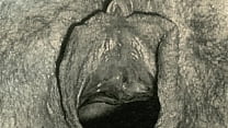 Dark Lantern Entertainment presents 039 Vintage Closeups 039 from My Secret Life The Erotic Confessions of a Victorian English Gentleman Dark Lantern Entertainment presents 039 Vintage Closeups 039 from My Secret Life The Erotic Confessions of a Victorian English Gentleman