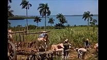 Week end in Havana vintage movie in portuguese