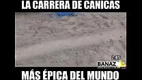 carrera de bola carrera de bola