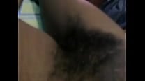 Hairy jamaican