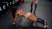 Nikki Bella vs AJ Lee TLC 2014