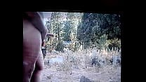 Simscristian05 update 224 OUTDOOR ADVENTURES IN EXHIBITIONISM SHEER Oct 01 2025