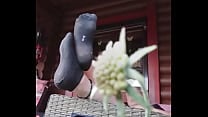 Schwarze Socken auf der Veranda