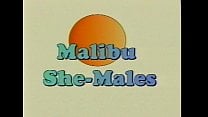 Metro Malibu Sme Males Full movie