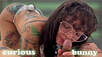 Curious bunny smells my asshole and my cock Curious bunny smells my asshole and my cock
