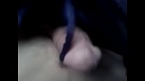 my penis