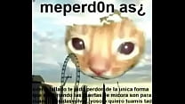 meperd0n as iquest