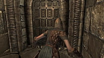 Skyrim   Failed Assassination