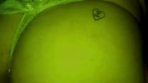 Faby de Tinder goza a los gritos cuando la siente en el culo y me homenajea la pija con un tatuaje en el orto y pete de trola emputecida Faby de Tinder goza a los gritos cuando la siente en el culo y me homenajea la pija con un tatuaje en el orto y pete de trola emputecida