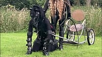 4 Day Ponyplay Training Compilation