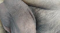 5 26 2019 testiculos en recuperacion